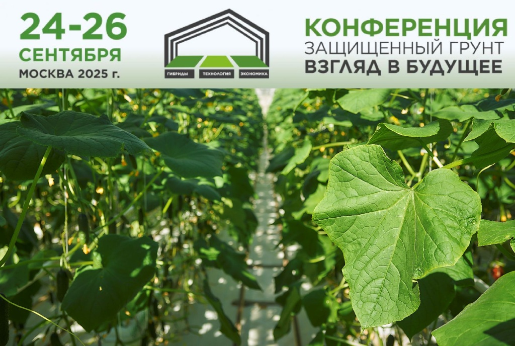 иллюстрация к новости1.jpg иллюстрация к новости1.jpg